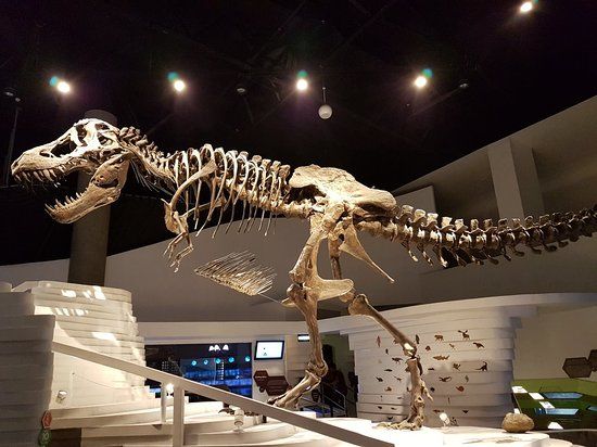 マインドミュージアム